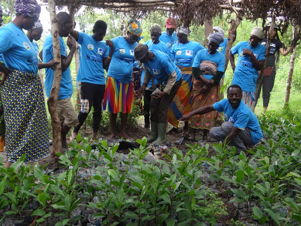 Restoring Nature’s Balance in the Savannah Landscape in Ghana: Agrointroductions Ghana’s Impact in the Red Volta Valley Landscape